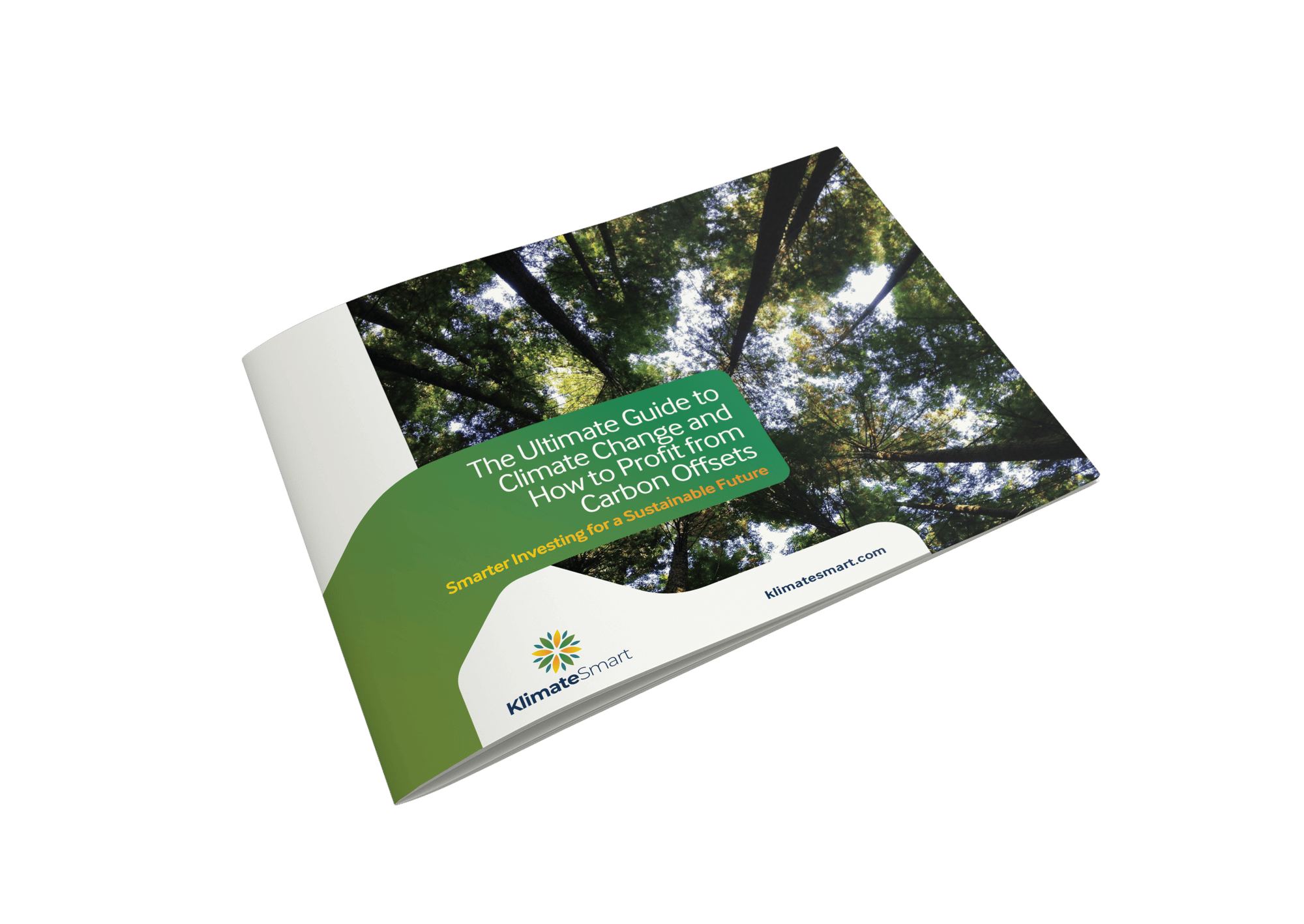 Carbon offsets