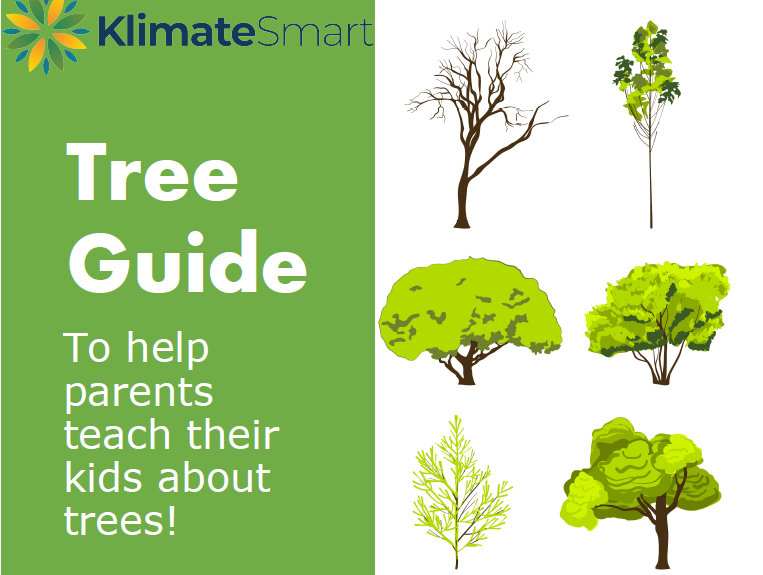 KS Tree Guide