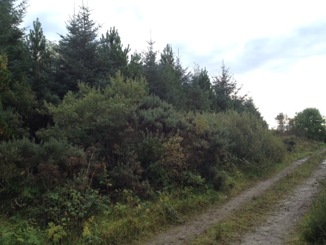 Kilalla Co. Mayo