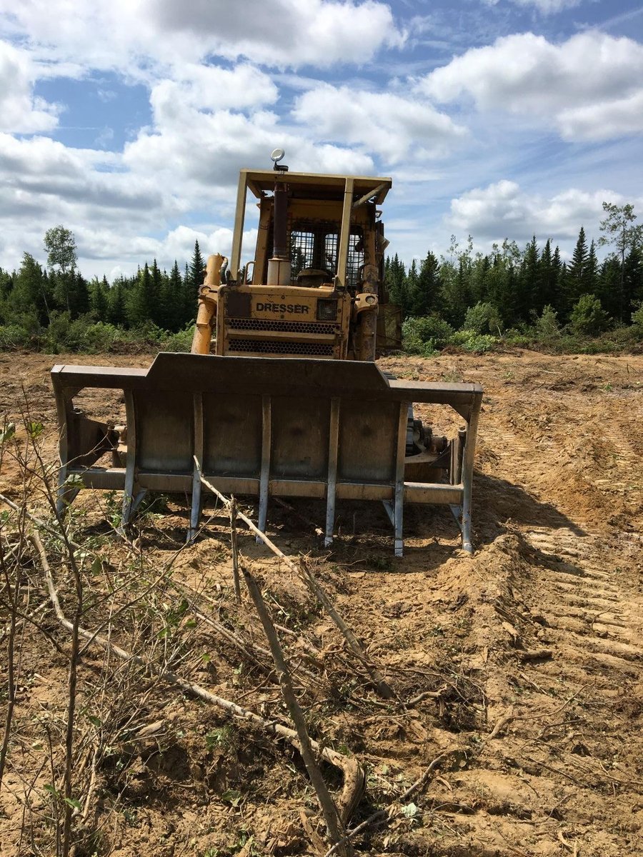 Root rake 1