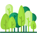 forest (1)