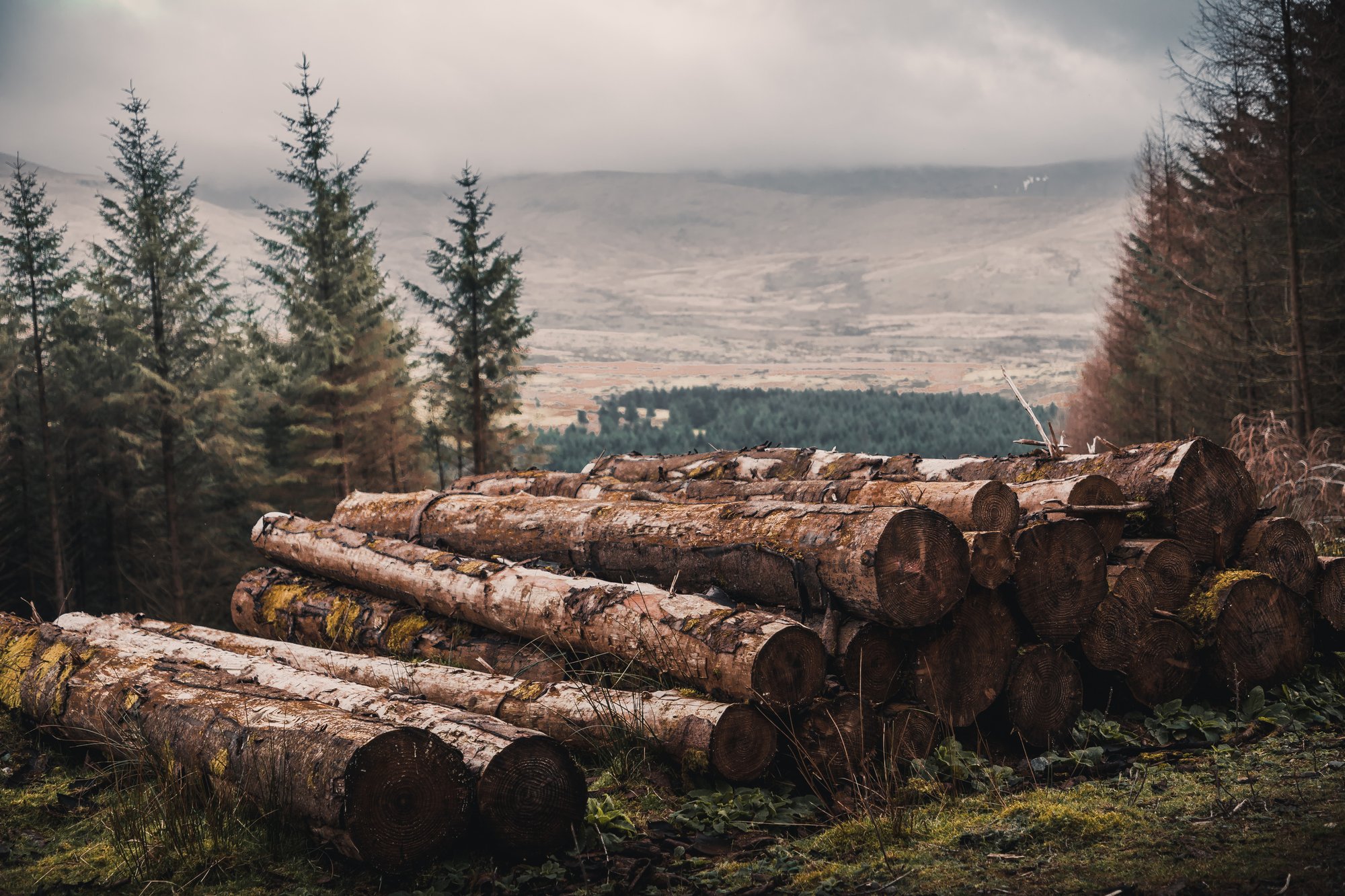 gregory-dalleau-_8oJQ_42a24-unsplash
